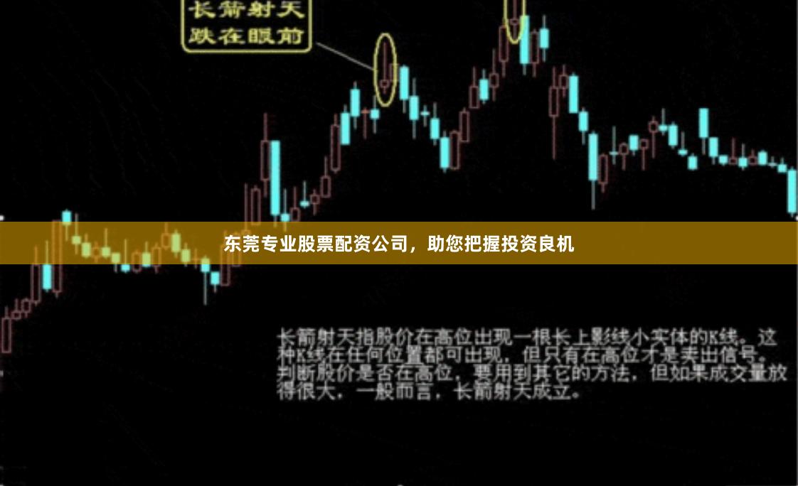东莞专业股票配资公司，助您把握投资良机